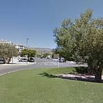 La concejalía de Medio Ambiente inicia una campaña para la recogida de frutos municipales￼